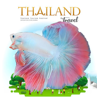 泰国斗鱼观赏鱼苗好养耐活热带淡水鱼小型孔雀金鱼圆尾半月宠物鱼