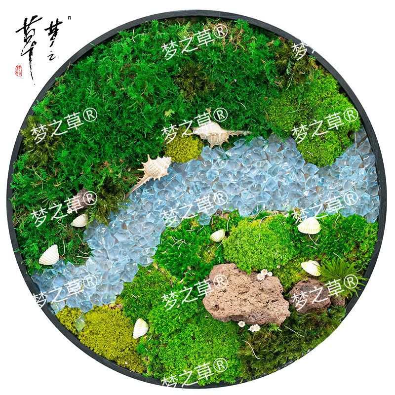 永生苔藓绿植壁挂挂件真苔藓微景观背景墙家庭装饰软装多场景装饰