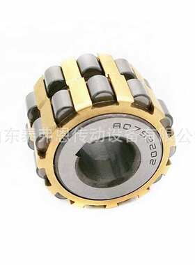圆柱滚子轴承250752202减速机整体偏心轴承