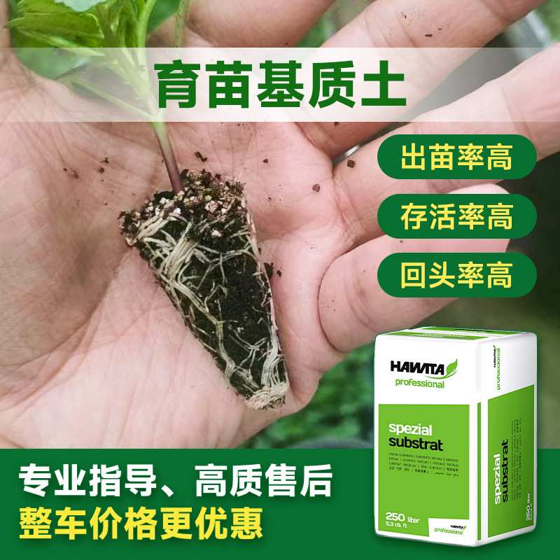 草莓种植无土栽培育苗基质果蔬泥炭土拉脱维亚绿植专用进口泥炭