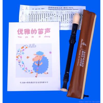 正品台湾音乐MRS 20B英式M生RS 8209G德式园高音八孔竖笛初学者学