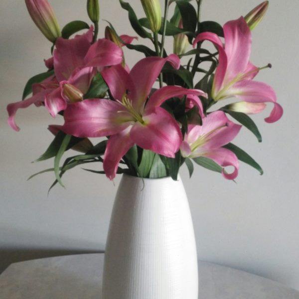 简约欧式陶瓷超大水滴蛋形圆罐收纳筒花盆居绿植摆设花插水培花瓶,家居饰品,花瓶,淘宝优惠券,粉丝福利购,淘宝优惠卷