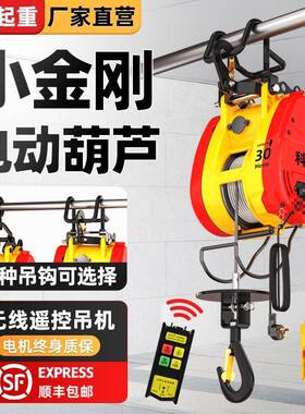 小金电动葫芦22TWZ0v小型吊机家用遥控升降携式葫微便型电芦卷扬