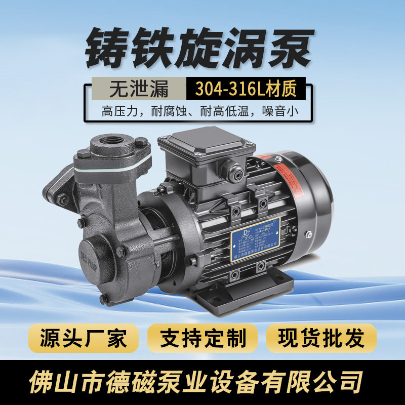 德磁厂家直供微型热水泵高低温循环泵增压泵耐高温导热油泵不锈钢