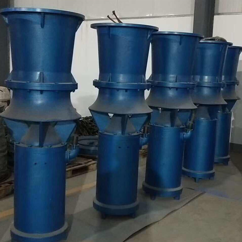 农用灌溉防洪排水潜水轴流泵
