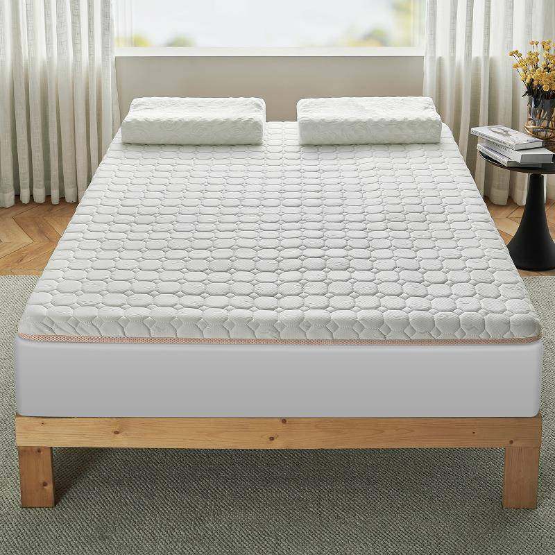 乳胶垫软床垫家宿舍学生单人榻榻米垫子DBT海绵垫被用租房床褥子,鲜花速递/花卉仿真/绿植园艺,其它园艺用品,淘宝优惠券,粉丝福利购,淘宝优惠卷