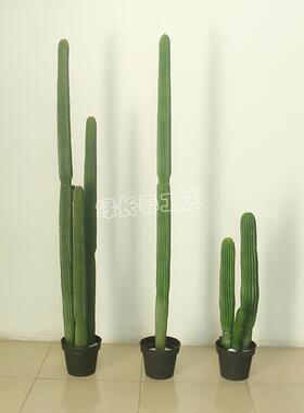 仿真沙物漠肉类植仙UEF人PU仙人掌人造人仙柱拍摄背景家居掌橱窗