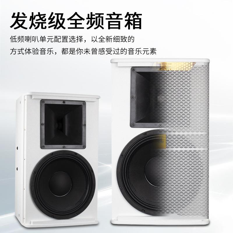 AZP功KP4010酒W-H10周年专业舞台KP4010-W演出音响套装吧娱乐KTV