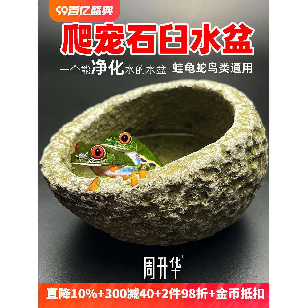 爬宠石臼鸟蛋水盆净化水质造景自然食盆宠物蛇守宫鬃狮蜥蜴鸟类用