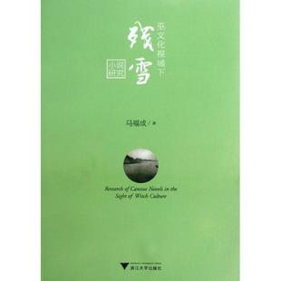 正版新书 巫文化视域下残雪小说研究 9787308114790 浙江大学出版社