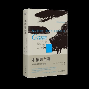 正版新书 本雅明之墓:一场人类学写作实验 迈克尔·陶西格带您聆听微妙之处,奇事不再遥远 9787301334706 北京大学出版社