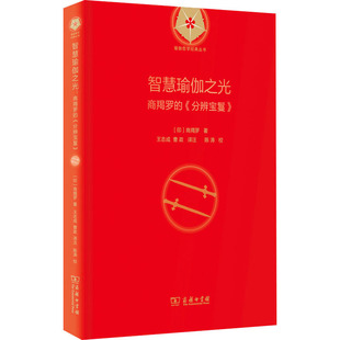 正版新书 智慧瑜伽之光 商羯罗的《分辨宝鬘》 9787100202190 商务印书馆