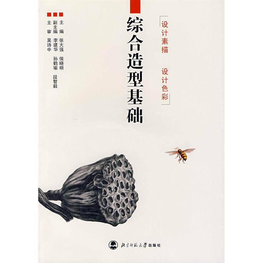 正版新书 综合造型基础：设计素描设计色彩 9787303080618 北京师范大学出版社
