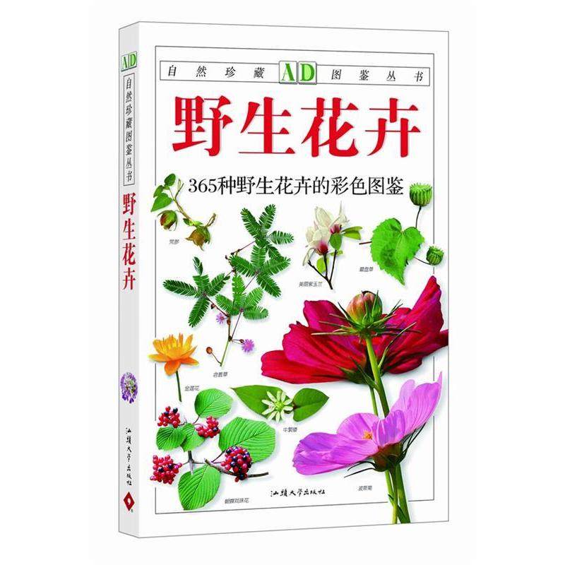 正版新书 野花图鉴 9787811201550 汕头大学出版社,书籍/杂志/报纸,养花书籍,淘宝优惠券,粉丝福利购,淘宝优惠卷