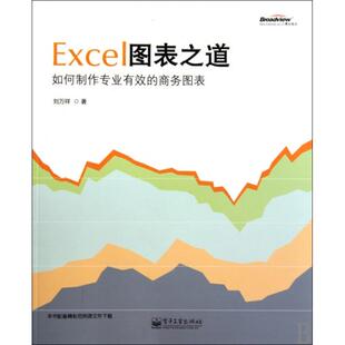 正版二手 Excel图表之道(如何制作专业有效的商务图表) 9787121104633 电子工业