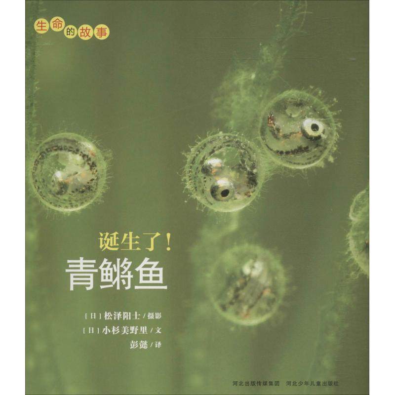 正版新书 诞生了!青鳉鱼 9787537670890 河北少年儿童出版社,书籍/杂志/报纸,小学教辅,淘宝优惠券,粉丝福利购,淘宝优惠卷