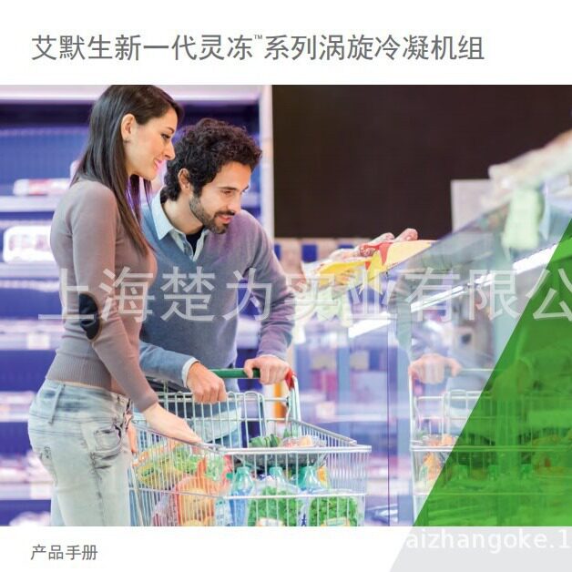 ZX075BE-TFD-501 中温机组 ZX075BE-TFD 涡旋压缩机