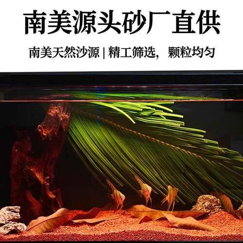 593景鱼缸底砂造沙美埃雷龙红色细沙子化妆沙鼠鱼沙南缸及热带雨