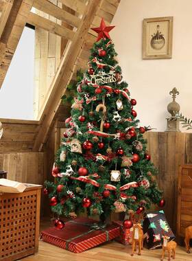 加圣圣诞树FFES6c2c密诞树套节庆餐用品酒店商场装饰圣诞节装饰家