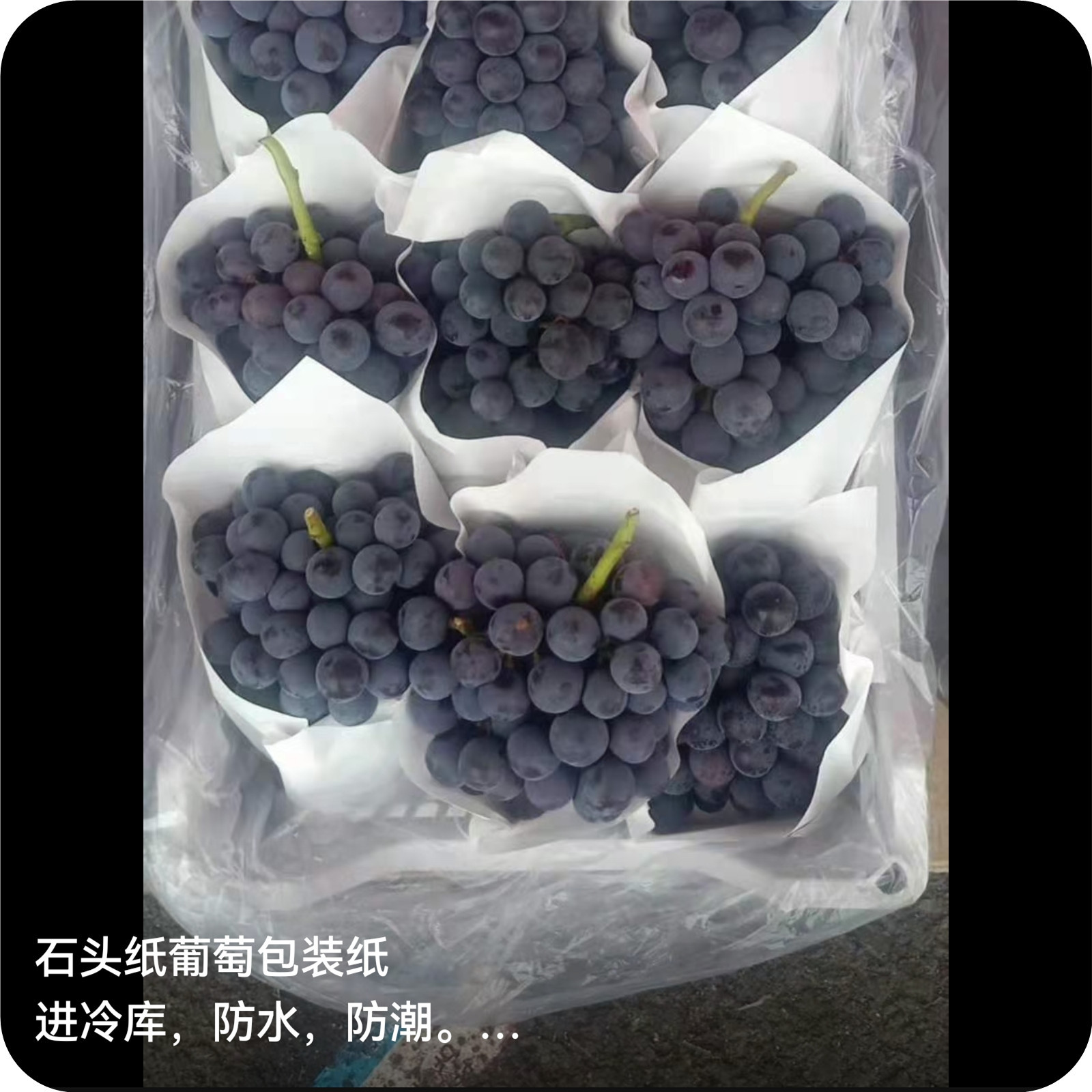 彩色石头纸 环保防水防潮防油耐折耐撕纸 调色板纸包装纸新型材料