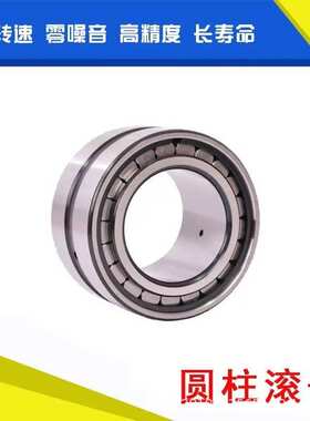 SL045034PP 满装滚子轴承 满滚子轴承 满装圆柱滚子轴承