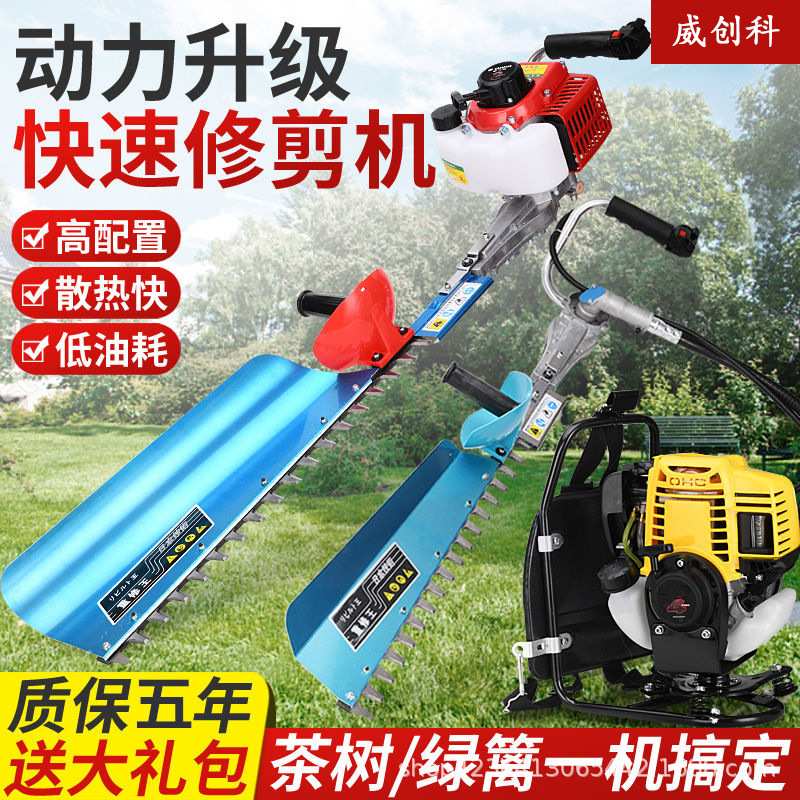 汽油绿篱机茶树茶叶修剪机园林绿化剪枝机小型园艺花草苗木割灌机