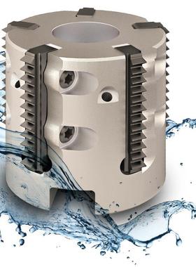 优势VARGUS螺纹铣 R41I3.00ISOTM VBX 瓦格斯螺纹铣刀片