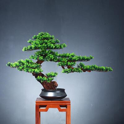 中式真绿新植迎客松景玄关仿客ML00137厅茶室禅意室内松树造景家