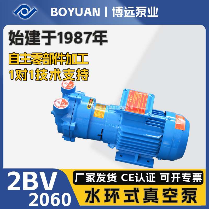 湖北博远2BV2060水环式真空泵304循环水引水系统抽真空节能全自动