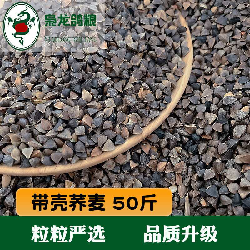 枭龙鸽粮 荞麦50斤赛鸽信鸽营养原料 浙江沪皖包邮