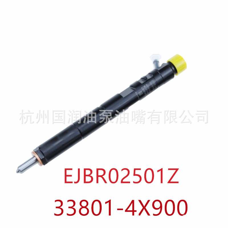 EJBR02501Z 共轨柴油喷油器总成适用德尔福系统 起亚 33800-4X900