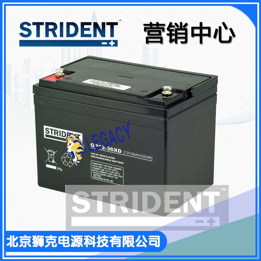 英国STRIDENT蓄电池GP12-36XD GP12-42X 12V36AH 12V42AH免维护