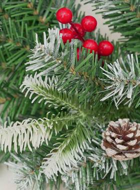 圣诞藤条2.7米m加密绿色藤条大型圣诞树挂枝酒店商场橱窗装饰花环