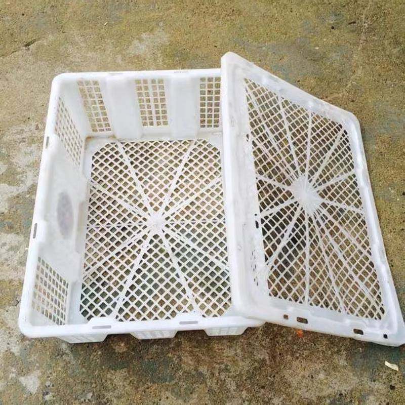 ?发递活禽塑料含套装运盖输篮框塑快料筐菜筐大号水果不易Fh($px},收纳整理,脏衣篮,淘宝优惠券,粉丝福利购,淘宝优惠卷