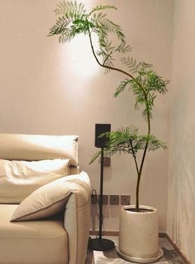 虹景品蓝花楹仿地真绿高端轻奢室内客厅62612仿生假植物植大型海