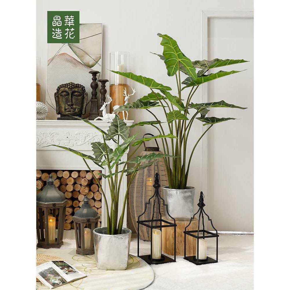 落地植物盆栽居陈列摆件绿植网红大叶子景观树假芭蕉叶