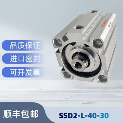 SSD/SSD2薄型带磁气缸