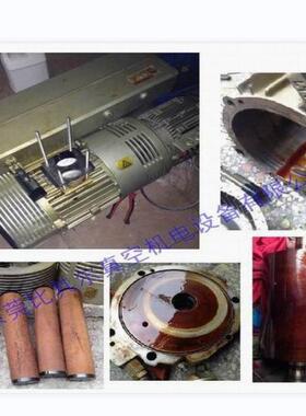维修ZUP普旭真泵R5RA0165D修进口空真空泵维保养