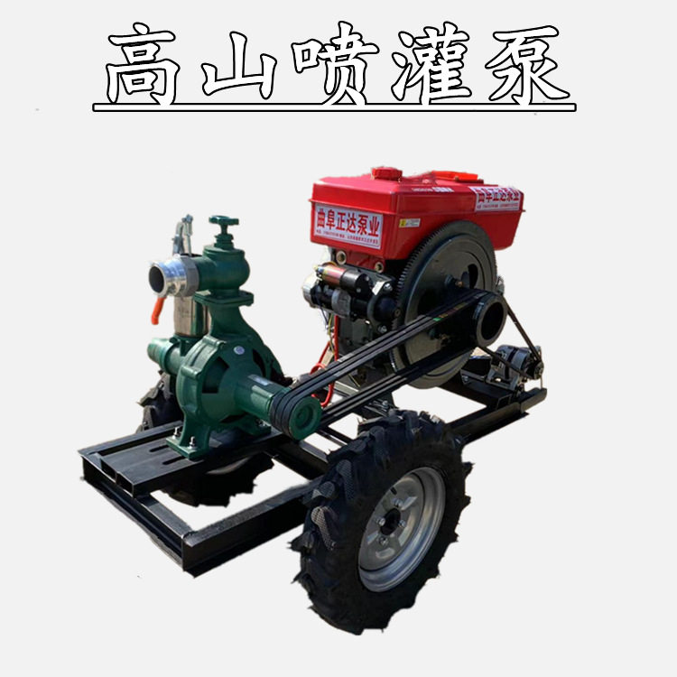 260型4寸双出口高压喷灌泵