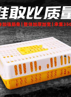 DSS鸡笼运笼塑料家笼禽周转箱筐殖成鸡鸭鹅输鸽子子家用大号兔笼