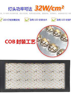 冷式UVLED固化灯紫外光UV固风化设备面光源光油胶670水固化/35365