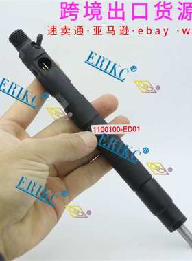 1100100-ED01 Injector assembly for great wall haval H5 H6 4D