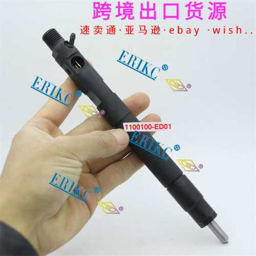 1100100-ED01 Injector assembly for great wall haval H5 H6 4D