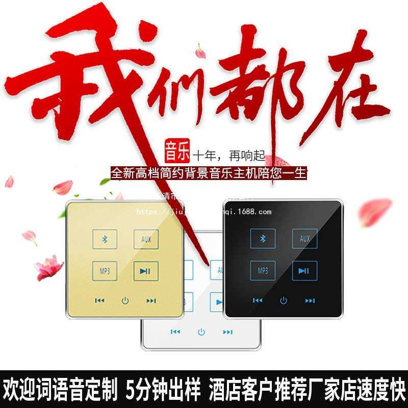 86型家庭背景音乐主机系统控制器酒店蓝牙智能家居面板播放器50W