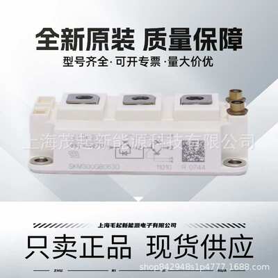 SKM400GB07E3 SKM300GB063D SKM195GB066D SKM145GB066D