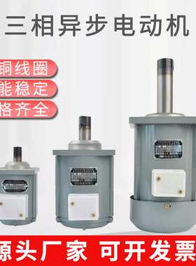 YDT250-2微型三相异步电动机ASF82A120W液压推动器用小型电机60W