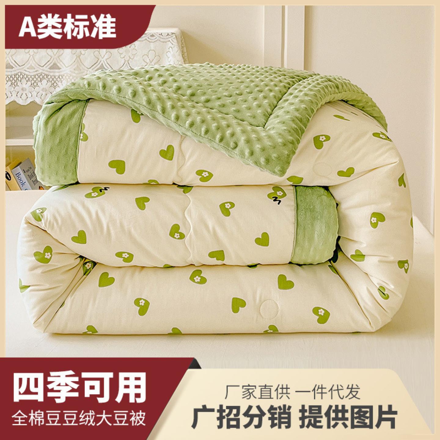 四季通用A类全棉豆豆绒大豆被