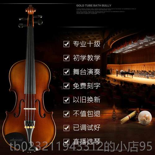 高档浩成进口实木小提琴者手工学级专业级儿童初成人乐团考独演奏