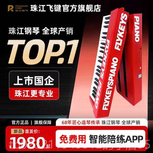 高档珠江钢琴艾茉森飞键8式 键折叠子电子琴S208可携电琴