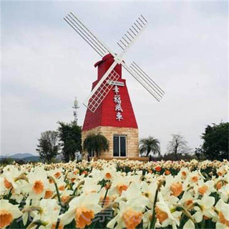 无穷大_大型钢车结构防腐木荷兰车屋_电xcj1104动风农小用户外建